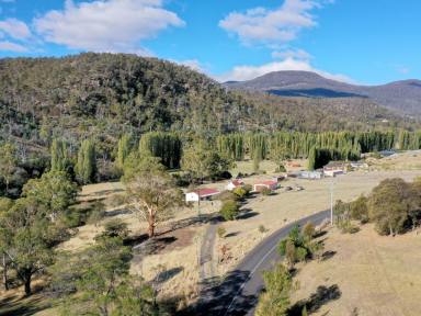 House For Sale - TAS - Molesworth - 7140 - Tranquil Creekfront Lifestyle  (Image 2)