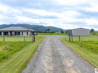 House For Sale - QLD - Birkalla - 4854 - Exceptional Family Living on 10 Acres with Stunning Mountain Views  (Image 2)