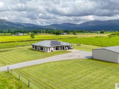 House For Sale - QLD - Birkalla - 4854 - Exceptional Family Living on 10 Acres with Stunning Mountain Views  (Image 2)