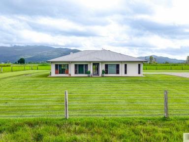 House For Sale - QLD - Birkalla - 4854 - Exceptional Family Living on 10 Acres with Stunning Mountain Views  (Image 2)