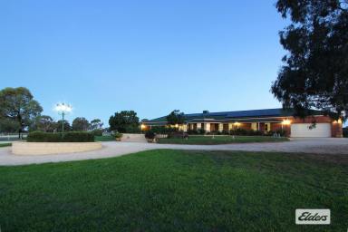 Acreage/Semi-rural For Sale - VIC - Lockwood South - 3551 - CRAFTSMAN BUILT HOME ON 26 ACRES  (Image 2)