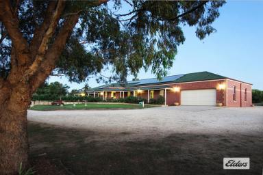 Acreage/Semi-rural For Sale - VIC - Lockwood South - 3551 - CRAFTSMAN BUILT HOME ON 26 ACRES  (Image 2)