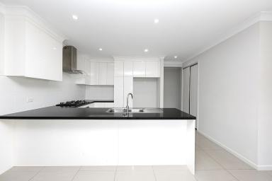 House For Lease - QLD - Mount Peter - 4869 - Modern Four-Bedroom Family Home in Prime Location  (Image 2)