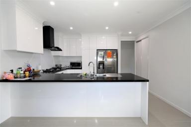 House For Lease - QLD - Mount Peter - 4869 - Modern Four-Bedroom Family Home in Prime Location (Image 2)