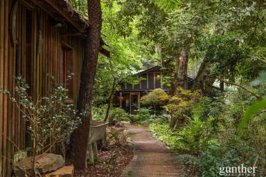House For Sale - VIC - Narbethong - 3778 - Sequoyah Retreat – A Rare Rainforest Sanctuary with Proven Income  (Image 2)