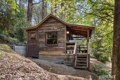 House For Sale - VIC - Narbethong - 3778 - Private Rainforest Living With Established Airbnb Income  (Image 2)