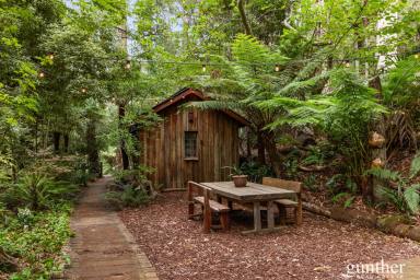 House For Sale - VIC - Narbethong - 3778 - Private Rainforest Living With Established Airbnb Income (Image 2)