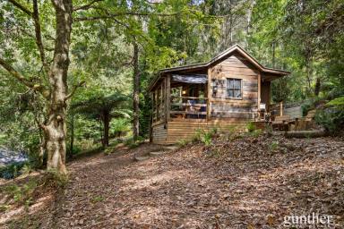 House For Sale - VIC - Narbethong - 3778 - Private Rainforest Living With Established Airbnb Income (Image 2)