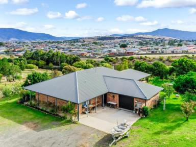 House For Sale - TAS - Brighton - 7030 - Your Private 7-Acre Oasis - Vineyard, Orchard & Gorgeous Gardens Await! (Image 2)