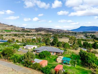 House For Sale - TAS - Brighton - 7030 - Your Private 7-Acre Oasis - Vineyard, Orchard & Gorgeous Gardens Await!  (Image 2)