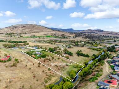 House For Sale - TAS - Brighton - 7030 - Your Private 7-Acre Oasis - Vineyard, Orchard & Gorgeous Gardens Await! (Image 2)