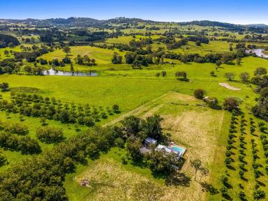 Other (Rural) For Sale - NSW - Wyrallah - 2480 - Affordable, Productive & Peaceful - Call Today!  (Image 2)