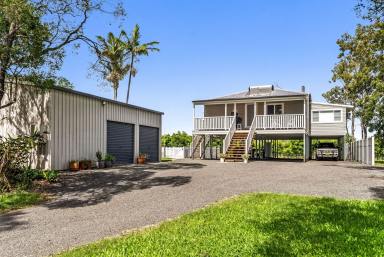 Other (Rural) For Sale - NSW - Wyrallah - 2480 - 116 Acres of Highly Productive Land Minutes From Town  (Image 2)