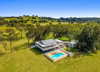 Other (Rural) For Sale - NSW - Wyrallah - 2480 - 116 Acres of Highly Productive Land Minutes From Town  (Image 2)