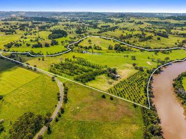 Other (Rural) Auction - NSW - Wyrallah - 2480 - 116 Acres of Highly Productive Land Minutes From Town  (Image 2)