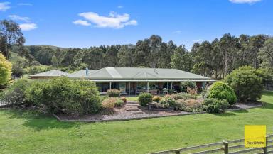 House For Sale - VIC - Agnes - 3962 - Views for the whole family.  (Image 2)