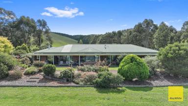 House For Sale - VIC - Agnes - 3962 - Views for the whole family. (Image 2)