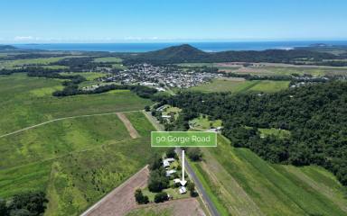 House For Sale - QLD - Mossman - 4873 - ACREAGE WITH VIEWS - TOWN AT YOUR FINGERTIPS  (Image 2)