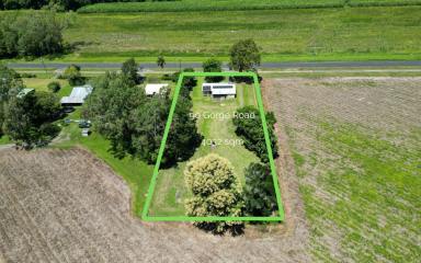 House For Sale - QLD - Mossman - 4873 - ACREAGE WITH VIEWS - TOWN AT YOUR FINGERTIPS  (Image 2)