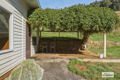 House For Sale - TAS - Ulverstone - 7315 - A TRANQUIL ESCAPE  (Image 2)