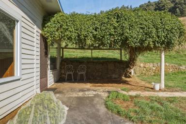 House For Sale - TAS - Ulverstone - 7315 - A TRANQUIL ESCAPE  (Image 2)