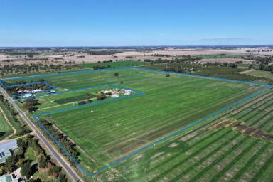 Cropping For Sale - VIC - Bamawm - 3561 - VERSATILE FARMING OPPORTUNITY  (Image 2)
