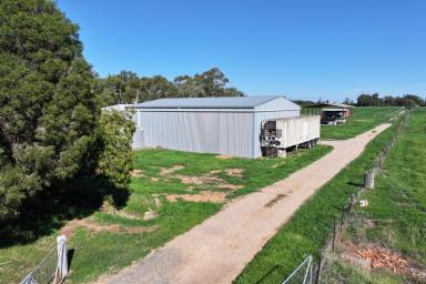 Cropping For Sale - VIC - Bamawm - 3561 - VERSATILE FARMING OPPORTUNITY  (Image 2)