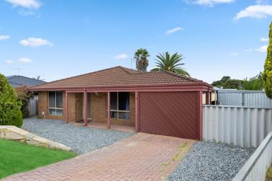 House Sold - WA - Alexander Heights - 6064 - The Perfect Starter or Investment on a Generous 533sqm Block!  (Image 2)