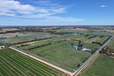 Dairy For Sale - VIC - Ballendella - 3561 - 126-ACRE IRRIGATED DAIRY FARM  (Image 2)