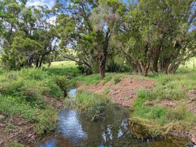 Acreage/Semi-rural For Sale - QLD - Marys Creek - 4570 - Prime Fertile Farm with Water Licence  (Image 2)