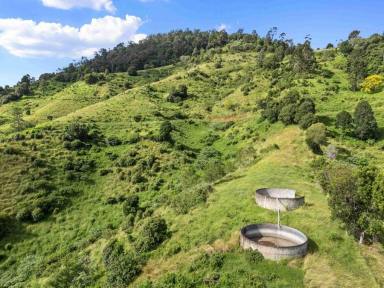 Acreage/Semi-rural For Sale - QLD - Marys Creek - 4570 - Prime Fertile Farm with Water Licence  (Image 2)