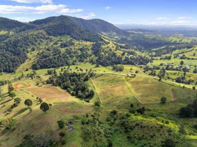 Acreage/Semi-rural For Sale - QLD - Marys Creek - 4570 - Prime Fertile Farm with Water Licence  (Image 2)