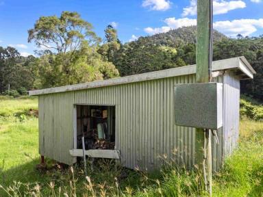 Acreage/Semi-rural For Sale - QLD - Marys Creek - 4570 - Prime Fertile Farm with Water Licence  (Image 2)