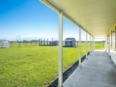 Lifestyle For Sale - NSW - Greenridge - 2471 - Fully Off Grid 10 Acre Country Escape  (Image 2)