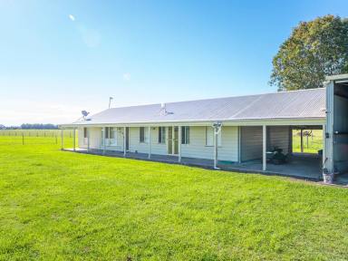 Lifestyle For Sale - NSW - Greenridge - 2471 - Fully Off Grid 10 Acre Country Escape  (Image 2)