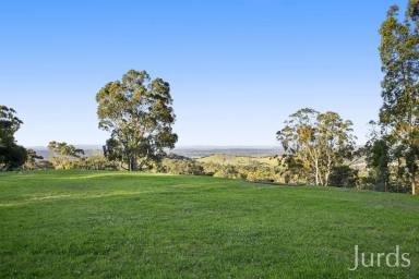 Lifestyle For Sale - NSW - Ellalong - 2325 - Reach for the Stars  (Image 2)