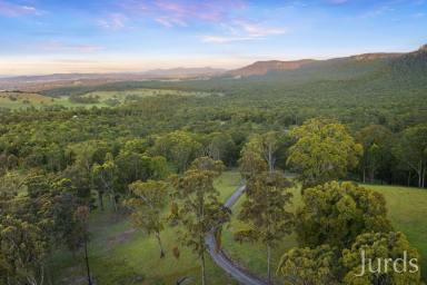 Lifestyle For Sale - NSW - Ellalong - 2325 - Reach for the Stars  (Image 2)