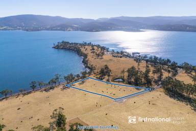 Residential Block For Sale - TAS - North Bruny - 7150 - Calling International Expressions of Interest -  Exceptional Waterfront & Elevated Lots @ Apollo Bay, Bruny Island  (Image 2)