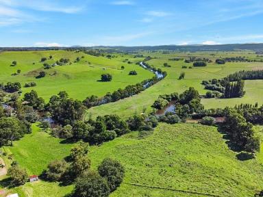 House For Sale - VIC - Bruthen - 3885 - VIEWS FOREVER  (Image 2)