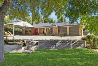 House For Sale - SA - Bridgewater - 5155 - Fully transformed family home - walk in ready!  (Image 2)