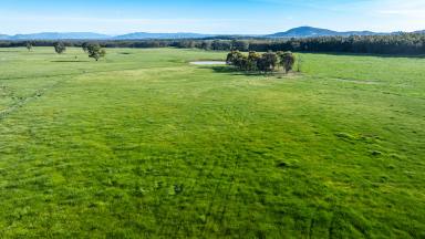 Residential Block For Sale - NSW - Table Top - 2640 - Discover the Perfect Rural Lifestyle  (Image 2)