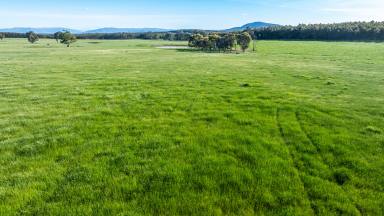 Residential Block For Sale - NSW - Table Top - 2640 - Discover the Perfect Rural Lifestyle  (Image 2)