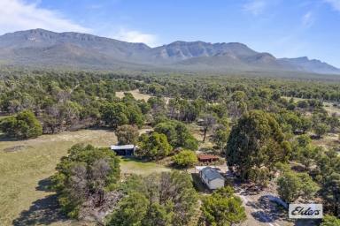 Lifestyle For Sale - VIC - Moyston - 3377 - 192 Acre lifestyle Opportunity - Close to Grampians  (Image 2)