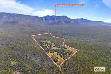 Lifestyle For Sale - VIC - Moyston - 3377 - 192 Acre lifestyle Opportunity - Close to Grampians  (Image 2)