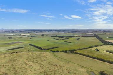 Other (Rural) For Sale - VIC - Gazette - 3289 - Unique Security, Production and Opportunity  (Image 2)