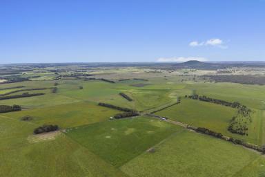 Other (Rural) For Sale - VIC - Gazette - 3289 - Unique Security, Production and Opportunity  (Image 2)