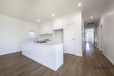 House For Lease - NSW - Dubbo - 2830 - The Perfect Low Maintenance Residence in Central  (Image 2)