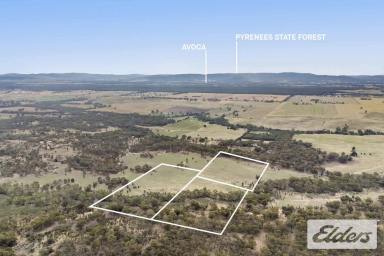 Other (Rural) For Sale - VIC - Bung Bong - 3465 - Versatile 56.43 Acres in a Peaceful Rural Setting  (Image 2)