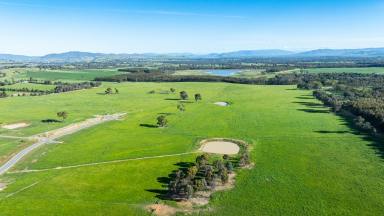 Residential Block For Sale - NSW - Table Top - 2640 - Discover the Perfect Rural Lifestyle  (Image 2)