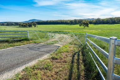 Residential Block For Sale - NSW - Table Top - 2640 - Discover the Perfect Rural Lifestyle  (Image 2)
